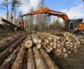 Symbolbild: Matthias Bein/dpa/Symbolbild
Die Forstbetriebsgemeinschaft Tirschenreuth hat im vergangenen Jahr 93.507 Festmeter Holz vermarktet. Auf dem Bild wird mit Forsttechnik aus einem Waldstück Totholz entfernt.