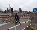 Bild: bl
Wenn die Schranke unten ist, führt am Schwarzenfelder Bahnhof kein Weg über die Gleise, auch nicht für die Fahrgäste. Sie sollten deshalb wohl einen zeitlichen Puffer einplanen, wenn sie die Gleise queren müssen.