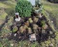 Bild: Harald Müller/exb
Vermeintliche Vandalen auf dem Waldfriedhof in Weiden entpuppen sich laut Polizei als Tiere auf Nahrungssuche.