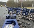 Bild: Melitta Burger
14 Tage nach dem Unfall auf der Auffahrt Richtung Bayreuth kracht es am Mittwoch auf der Anschlussstelle der A 70 bei Unterbrücklein in Richtung Bamberg.