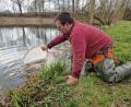 Bild: exb/Stadtgärtnerei Weiden
Stefan Reitzig, Mitarbeiter der Stadtgärtnerei Weiden, setzt die Fische aus dem Kaltenecker Weiher vorübergehend in ein anderes Gewässer um.