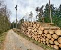 Bild: Matthias Bäumler/fph
Reichlich Bäume haben die Mitarbeiter eines Forstbetriebs im Auftrag des Amts für Ernährung, Landwirtschaft und Forsten am Steinwaldradweg bei Waldershof gefällt.