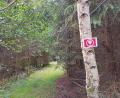 Bild: Hladik
Ein Weinglas auf rotem Grund markiert die Wegstrecke auf dem "Glasschleifererweg" durch den Osten im Landkreis Neustadt/WN.