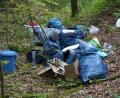 Symbolbild: bkr
Das ist zwar nur ein Symbolbild, doch so ähnlich sah es in einem Waldstück nahe Ranna bei Auerbach wohl auch aus: Dort hatte ein Senior Plastiktüten und Farbeimer illegal im Wald entsorgt.