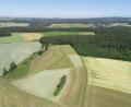 Bild: bey
In diesem Gebiet soll der Solarpark am Hart entstehen.