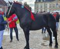 Bild: Privat Lang
Martin Lang mit Lucky in Frankreich.