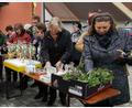 Bild: gz
Das handgefertigte Bastelwerk des katholischen Frauenbundes lockte viele Frauen und Männer an.