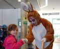 Archivbild: Stadtwerke Amberg, Daniel Wanninger/exb
Der Osterhase kommt wieder ins Kurfürstenbad.