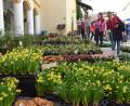 Bild: bnr
Eine große Auswahl an Blumen empfängt die Besucher auf dem Schlossgelände.