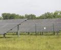 Symbolbild: Hirsch
Wenn ein Solarpark (hier ein Symbolbild) extensiv im Sinne der Artenvielfalt genutzt wird, braucht der Betreiber keine Ausgleichsflächen mehr bereitzustellen. Dies will der Investor bei der Freiflächenanlage bei Geiselhof (Gemeinde Stulln) umsetzen.