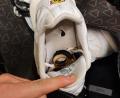 Bild: Bundespolizei Waidhaus/exb
Ein 24-Jähriger hat versucht, die Polizei bei Waldsassen zu überlisten, indem er gekaufte Schlagringe in einem Turnschuh versteckte.
