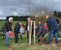 Bild: dob
Eifrig legen die Baumpaten selbst Hand an beim Naturtag in Kößing, der anlässlich des 900-jährigen Stadtjubiläums organisiert wurde. Josef Scherer (links) bringt noch Dünger in das Pflanzloch ein.