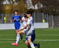 Bild: D. Nachtigall
Moritz Hügel (weißes Trikot) erzielte beim 3:1-Erfolg der U19 der SpVgg SV Weiden gegen die DJK Don Bosco Bamberg zwei Treffer.