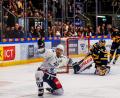 Bild: Werner Moller
Der Weidener Kapitän Dennis Thielsch bejubelt seinen Treffer zum zwischenzeitlichen 2:1. Die Blue Devils gewannen am Freitag bei den Tilburg Trappers mit 5:2 und feierten damit den dritten Sieg in der "Best-of-7"-Halbfinalserie.