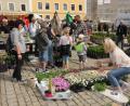 Bild: ge
Eine botanische Fundgrube war der Luitpoldplatz am Marktsonntag.