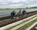 Bild: ihl
Um 7 Uhr, wenn es recht warm wird schon um 6 Uhr, beginnen die Spargelstecher mit der Ernte.
