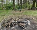 Bild: Gabi Schönberger
An dem idyllischen Picknick-Platz beim Steinernen Tisch finden sich die Überreste des Feuers.