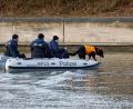 Bild: Heiko Becker/dpa/Archivbild
Leichenspürhunde suchen nach einer vermissten Schwangeren im Main-Donau-Kanal bei Nürnberg.