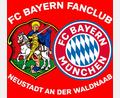 Bild: FC-Bayern-Fanclub Neustadt/WN
Das neue Logo des FC-Bayern-Fanclubs Neustadt/WN
