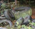 Bild: exb
Unzählige Reifen aus der Landwirtschaft liegen in der Nähe von Ehenfeld im Wald herum.