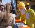 Bild: usc
Rund 9.000 Enten wollen die Round Tabler heuer verkaufen. Es gibt sie in mehreren Geschäften in Amberg sowie jeden Samstag – nicht zu übersehen - am Verkaufsstand auf der Krambrücke in der Fußgängerzone.