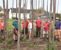 Bild: no
Gute Teamarbeit im Stangenwald: Ein kleiner Helferkreis des Gartenbauvereins Illschwang, darunter auch eine Dame, stellte die Hopfenstangen auf.