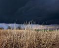 Bild: Karl-Josef Hildenbrand/dpa
Gewitterwolken ziehen über ein Feld: Das Wetter am Abend ist durchwachsen.