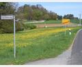 Bild: bö
Im Wochenendgebiet bei den Köstläckern in Mendorferbuch sind ein Flächennutzungsplan und ein Bebauungsplan nun zum Greifen nahe. Seit 1962 ist dort immer wieder gebaut worden.