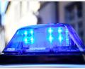 Symbolbild: Patrick Seeger/dpa
Die Polizei ist auf der Suche nach einem Verstärkerdieb in Waldsassen.