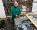 Bild: kaz
Alle drei bis vier Jahre muss das fast 30.000 Liter fassende Aquarium im Haus am Teich in Tirschenreuth gereinigt werden. Die Fische werden in dieser Zeit in einen Behälter umgesiedelt. Diese Aufgabe übernimmt Fischwirt Christoph Kick.