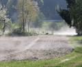 Bild: gz
Die Natur bietet ein herrliches Naturschauspiel auf den Eslarner Feldern.