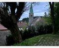 Bild: Eichl
Die im vergangenen Jahr gepflanzte Hecke am alten Pumphaus entzweit den Gemeinderat. Mehrere Räte sorgen sich, die ungenießbaren Früchte von Kirschlorbeer und Wacholder könnten spielende Kinder gefährden.