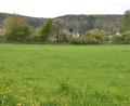 Bild: no
Blick auf das geplante private Baugrundstück im westlichen Ortsbereich von Illschwang, auf dem sieben Parzellen entstehen sollen.