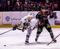 Bild: Werner Moller
Szenen aus dem vierten Play-off-Finale in der Eishockey-Oberliga zwischen den Hannover Scorpions und den Blue Devils Weiden (weiße Trikots).
