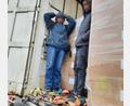 Bild: Bundespolizei
Polizeibeamte und Zöllner aus Waidhaus und Vohenstrauß befreien einen Eritreer und einen Nepalesen nach einer Odyssee aus diesem bulgarischen LKW.