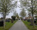 Bild: pz
Eine neue Satzung für die Benutzung des Friedhofs (Bild) und der Bestattungseinrichtungen hat in der jüngsten Sitzung der Stadtrat Waldsassen verabschiedet.