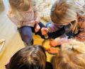 Bild: Ann-Kathrin Förderreuther/exb
Die Kinder probierten es aus, mit steinzeitlichen Mitteln Getreide zu mahlen.