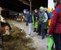 Bild: kaz
Über den Beruf der Landwirtin informieren sich 15 Jugendliche auf dem Hof von Stefanie Hösl in Pilmersreuth an der Straße. Wie viel Kraft wird beim Füttern der Kühe benötigt? Paula Söllner probiert es aus.