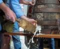 Bild: Wolfgang Steinbacher
Das Amberger Bierfest ist eröffnet.