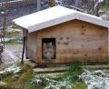 Bild: Wildpark Mehlmeisel/exb
Die Wildkatzen sind zurück im Wildpark Mehlmeisel.