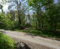 Bild: bey
Oberhalb des "Gießhübels", wo schon jetzt eine kleine Lichtung im Wald sichtbar ist, soll der neue Hochbehälter errichtet werden.