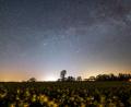 Bild: Daniel Reinhardt/dpa
Der Sternenhimmel leuchtet über einem Rapsfeld. Auch im Mai lohnt sich ein Blick ins Firmament (Archivbild).