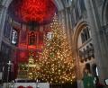 Archivbild: Gabi Schönberger
Damit die Kirchen – wie hier St. Josef in Weiden – so weihnachtlich erstrahlen können, muss viel vorbereitet werden.