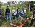 Bild: jr
Tradition hat die Pflanzenbörse zur Saisoneröffnung des Resl-Garten-Saison.
