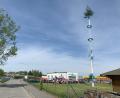 Bild: adj
Der neue Maibaum in Altenstadt/WN.