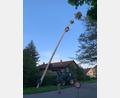 Bild: Martin Beutner/exb
Der Maibaum in Mallersricht steht.
