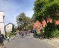 Bild: Maria Sauer
Ohne Hilfe von Maschinen wird der Maibaum in Püchersreuth aufgestellt.