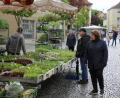 Bild: kro
Die Stände mit jungen Gemüsepflanzen lockten einige Marktbesucher an.