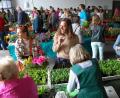 Bild: grm
Zahlreiche Gartenfreunde wollen sich die Schmuckstücke bei der 23. Pflanzenbörse der Siedlergemeinschaft Irchenrieth ansehen.