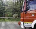 Bild: Hösamer
Bei einem schweren Verkehrsunfall an der Kreisstraße 22 bei Lindenlohe stirbt ein Mann. Feuerwehrleute machen den Weg in den Wald frei, in dem das Wrack gelandet ist. Das verunglückte Fahrzeug ist von der Straße aus kaum zu sehen.